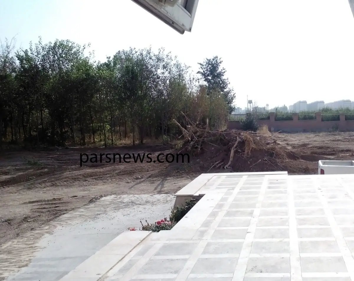 قطع 150 اصله درخت توسط سازمان هواشناسي تهران