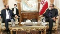 دیدار نوری المالکی با دبیر شورای عالی امنیت ملی 