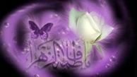 نگاهی به زندگی سیاسی و اجتماعی حضرت زهرا (س)