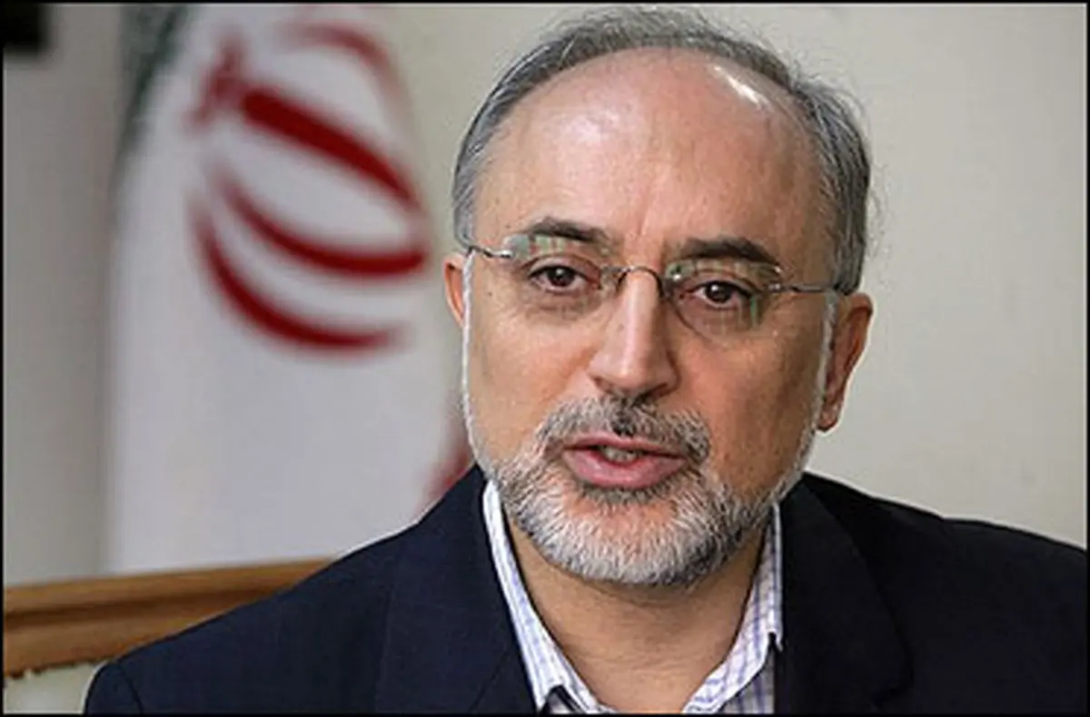 می‌توانیم با تغییر طراحی در رآکتور اراک نگرانی‌های طرف غربی را کاهش دهیم