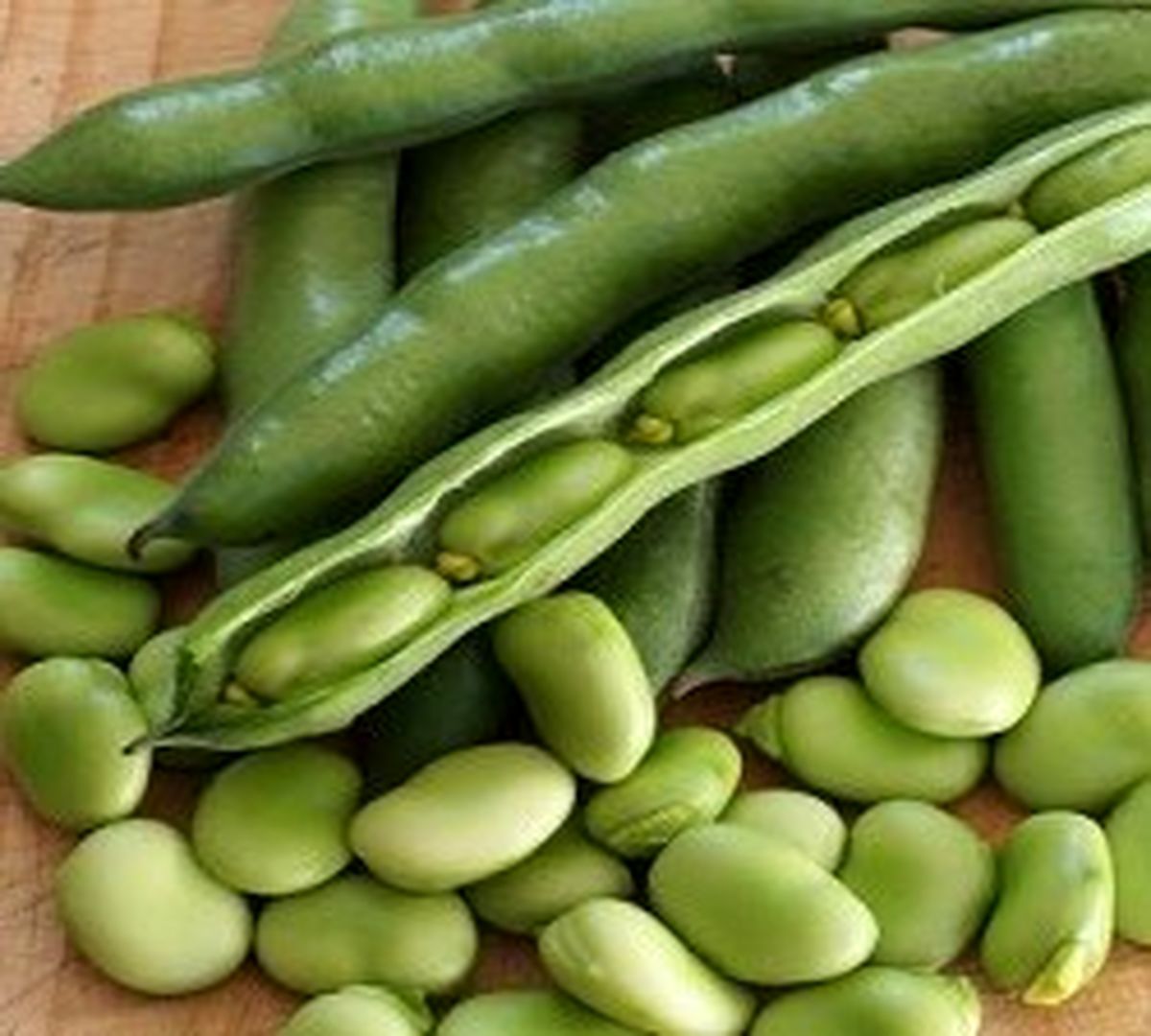 خوردن باقالا برای این افراد ممنوع!