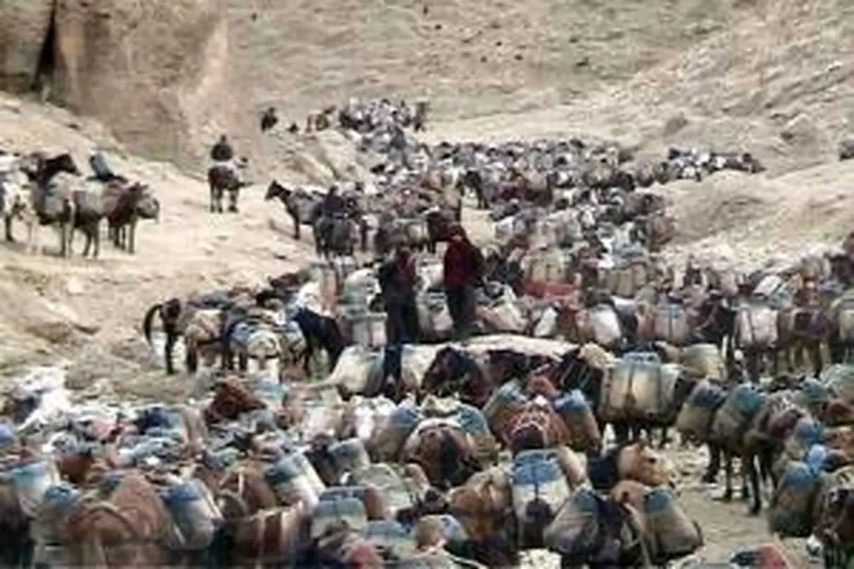 خروج 60‌هزار لیتر بنزین کشور با قاطر