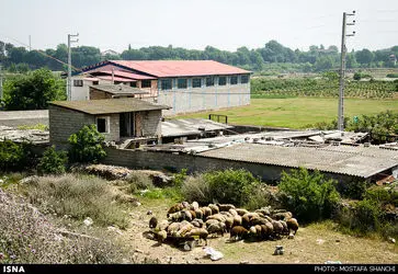 1438529891424_Mostafa Shanechi-5