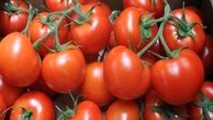 گوجه فرنگی هایی با ماندگاری بالا 