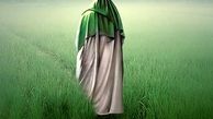حجت خدا در زمین