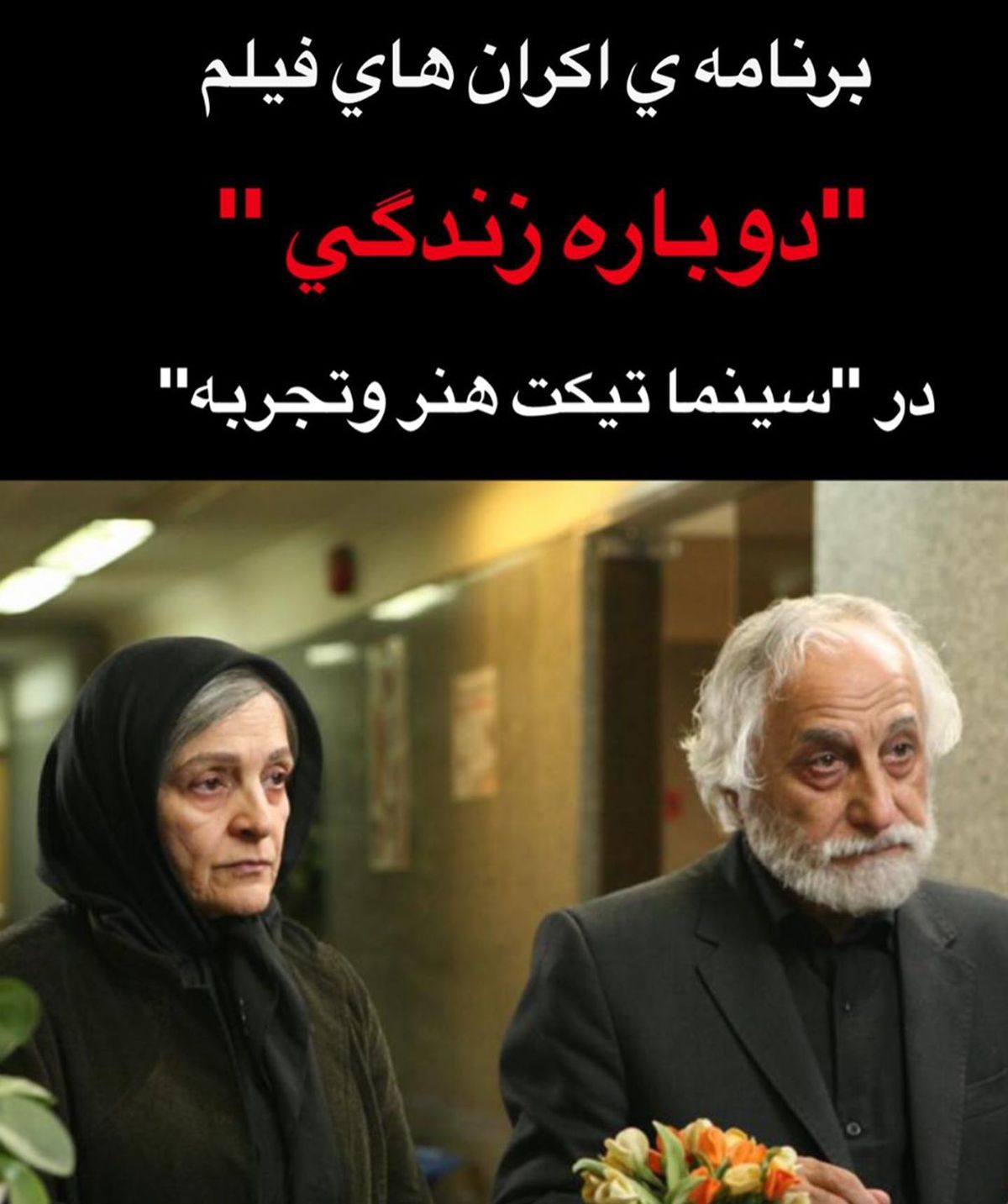 گلاب آدینه پیر شد+عکس