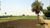 سودان به عربستان زمین مجانی می دهد!