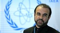 نجفی: مسئولیت اولیه در زمینه ایمنی و امنیت هسته ای به عهده کشورهای عضو است
