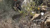 ۶ نظامی سعودی دیگر به دست یمنی ها از پای درآمدند