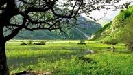 زیبایی شگفت انگیز دشت دریاسر+ عکس