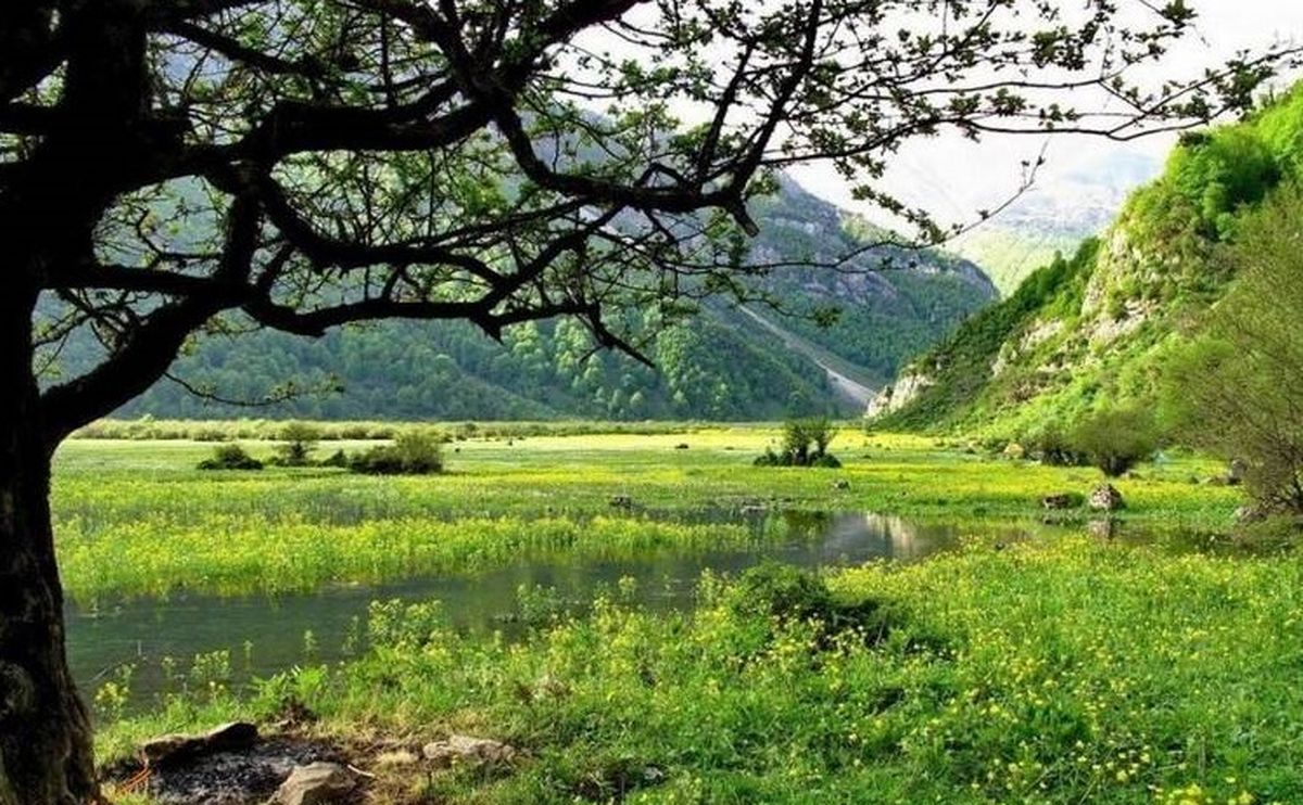 زیبایی شگفت انگیز دشت دریاسر+ عکس