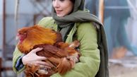 حس خوب حیوان دوستی شهرزاد کمال زاده + عکس