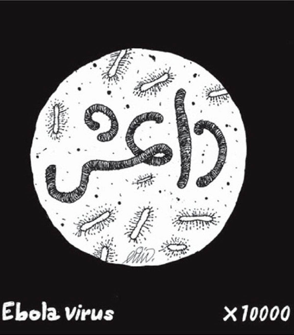  ویروس ابولا! 