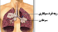 این 10 گیاه ریه های شما را شستشو می دهند 