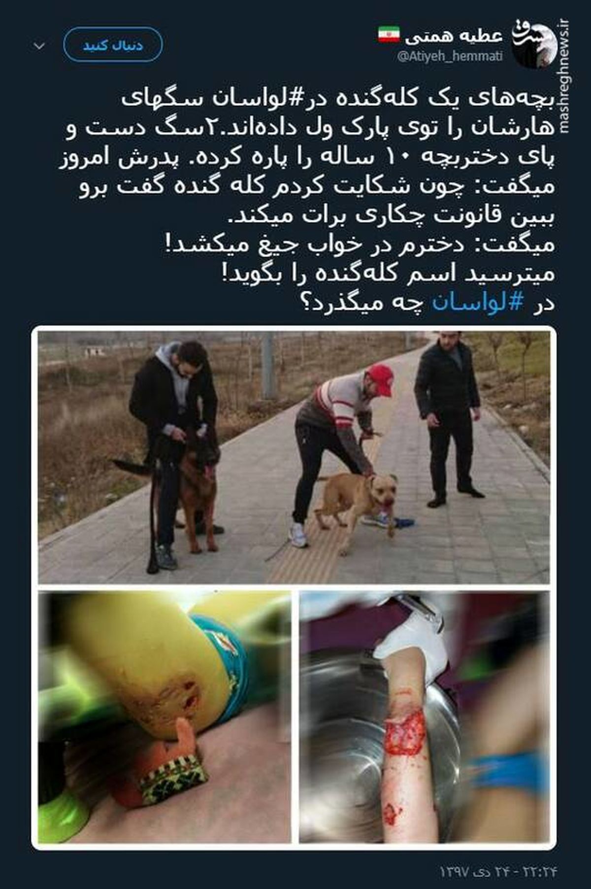 توئیتر::"سگ‌های هار" در لواسان چه می‌کنند؟