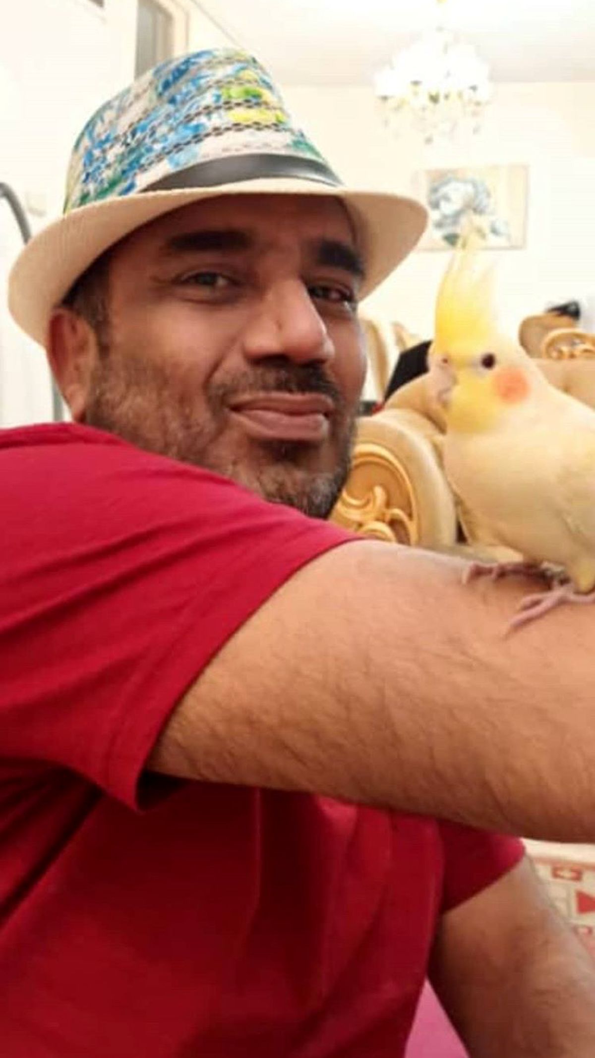 پرنده بامزه نصرالله رادش + عکس