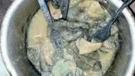خوردن گوشت گربه در سیستان و بلوچستان به کجا رسید؟