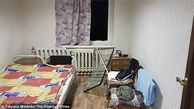 روستایی در روسیه در محاصره خرس‌های قطبی!/عکس