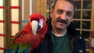 پرنده خانگی آقای بازیگر + عکس