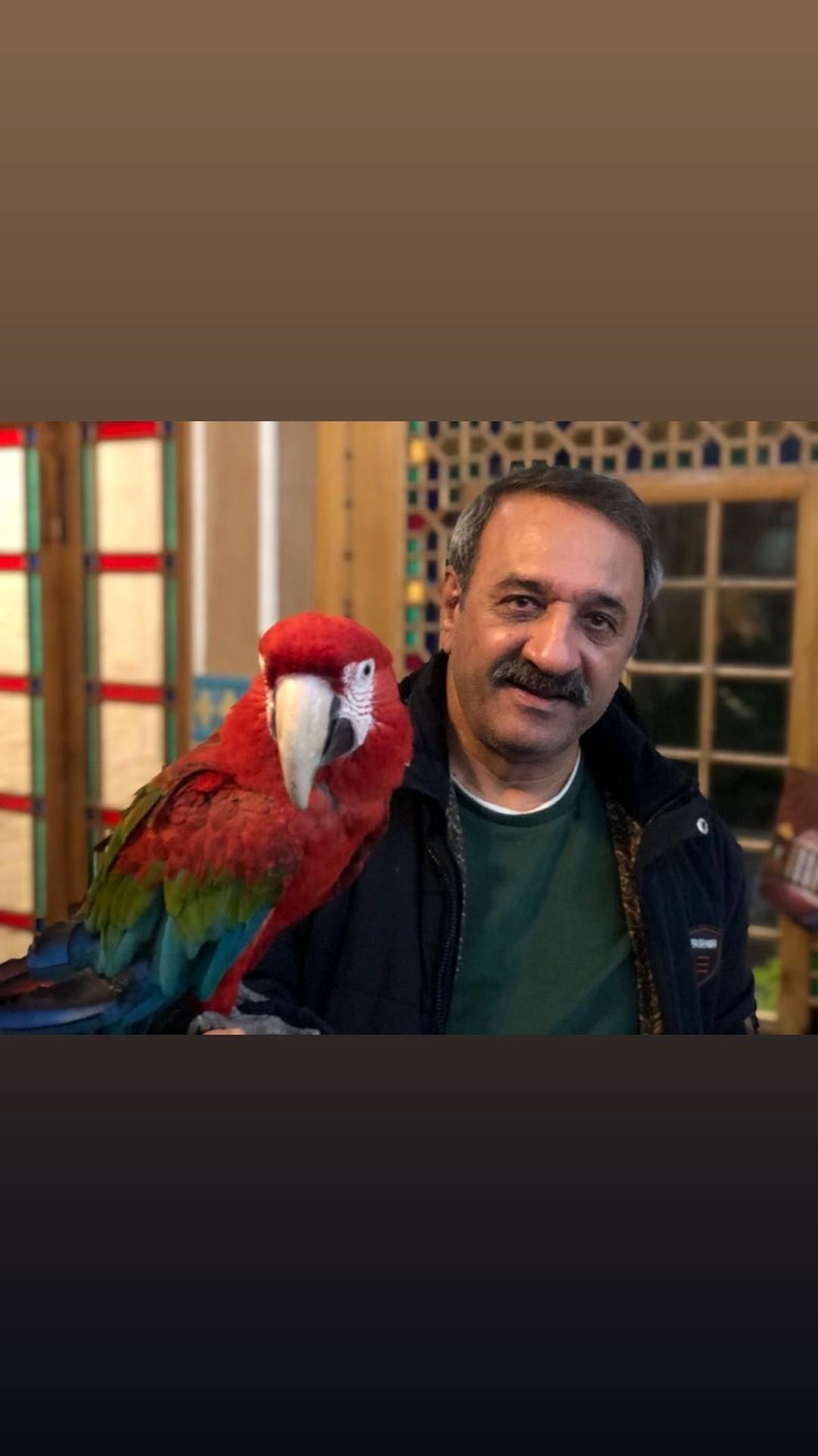 پرنده خانگی آقای بازیگر + عکس