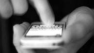 مقابله فروشگاه‌های اینترنتی با سودجویانِ طرح "رجیستری"