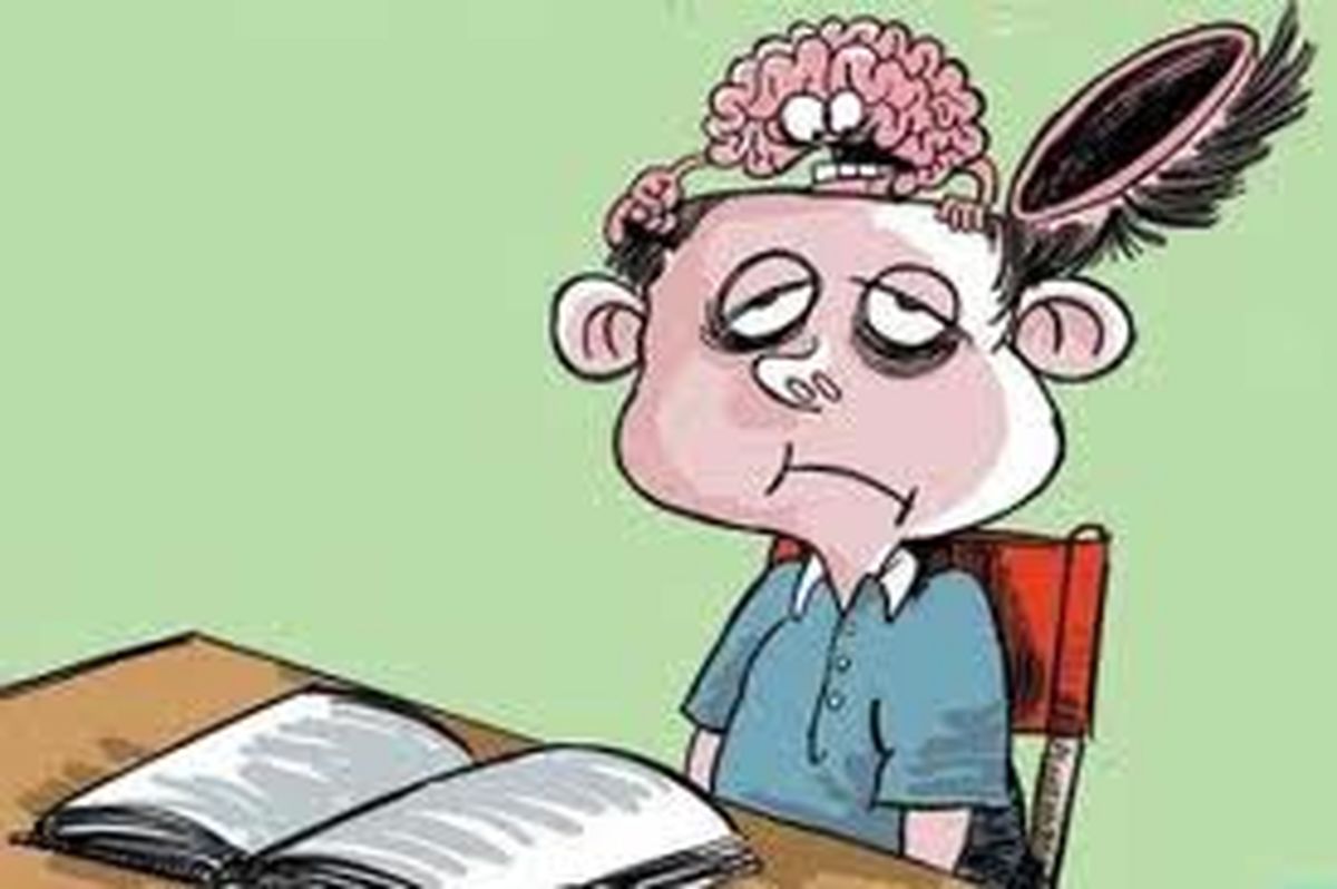 احمقانه ترین پل جهان