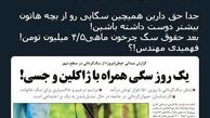 توئیتر::شغلی به نام «چرخاندن سگ» و دستمزد عجیبش