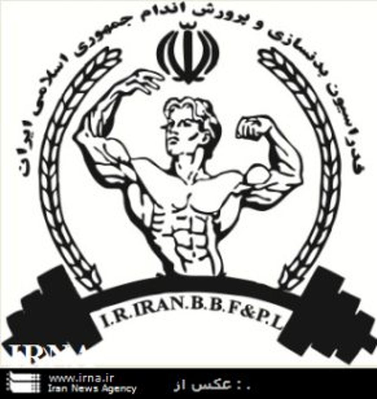 انتصابات جدید در فدراسیون بدنسازی و پرورش اندام