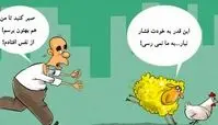 افزایش قیمت تخم مرغ و گوسفند ادامه دارد!