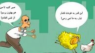 افزایش قیمت تخم مرغ و گوسفند ادامه دارد!