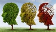 دستورات طب سنتی برای جلوگیری از آلزایمر 