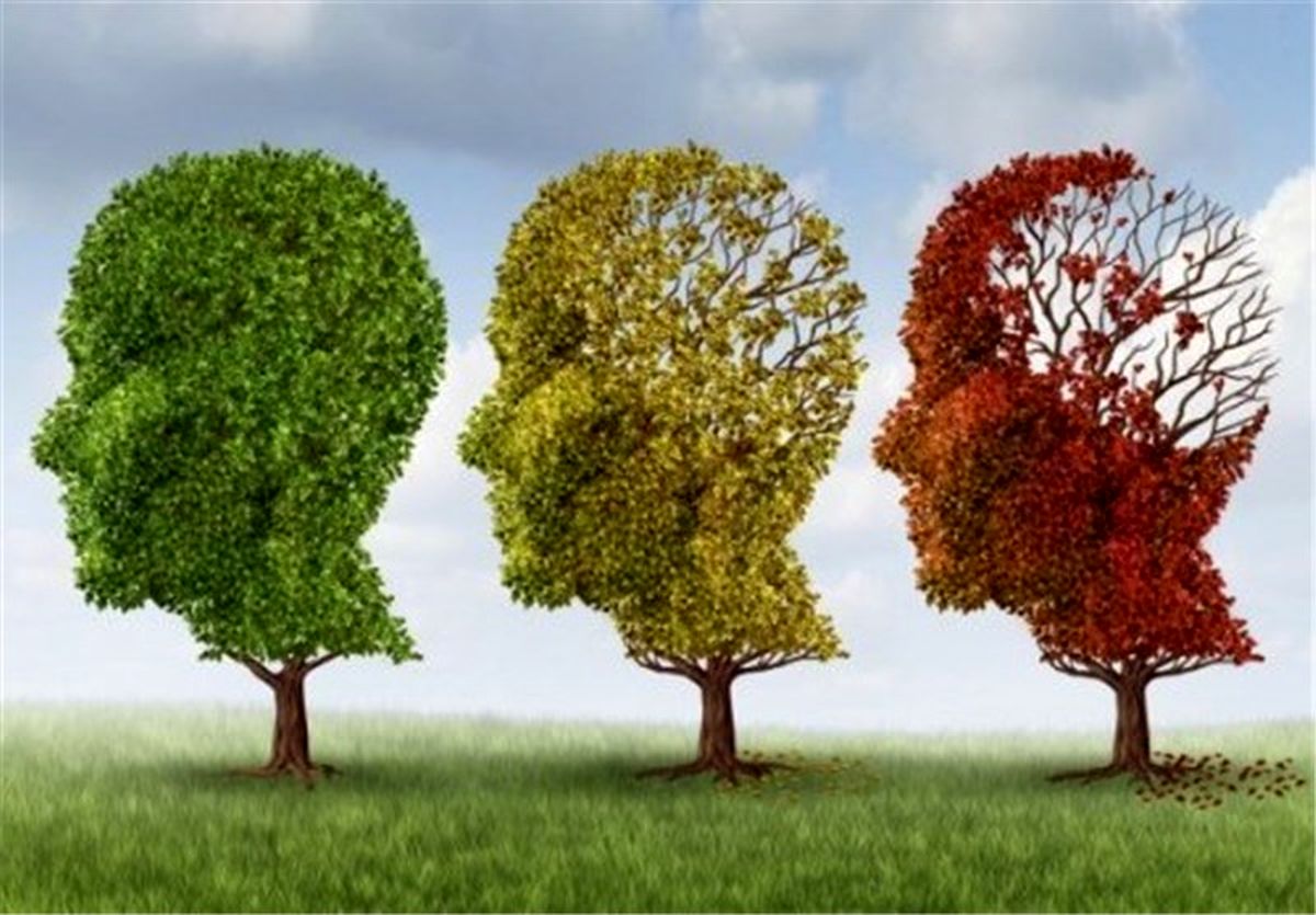 دستورات طب سنتی برای جلوگیری از آلزایمر 
