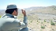 ضرب و شتم محیط‌بان مازنی توسط یک گردشکر