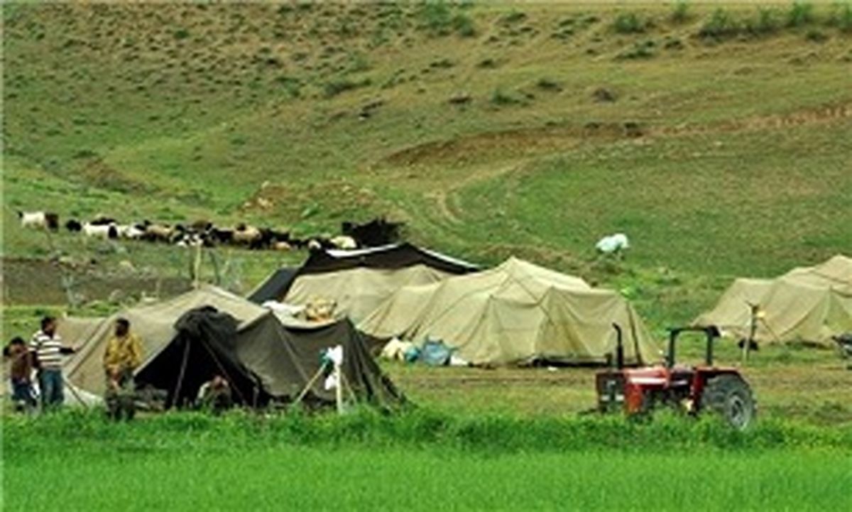  عشایر کشور ۲۵ درصد گوشت کشور را تولید می‌کنند