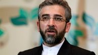 باقری‌کنی: تحریم مصداق بارز نقض حقوق بشر از سوی آمریکاست