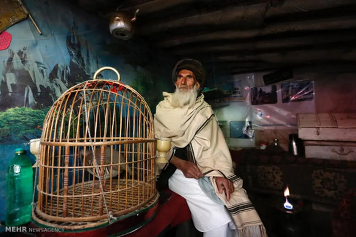 بازار پرندگان در کابل‎ (عکس)