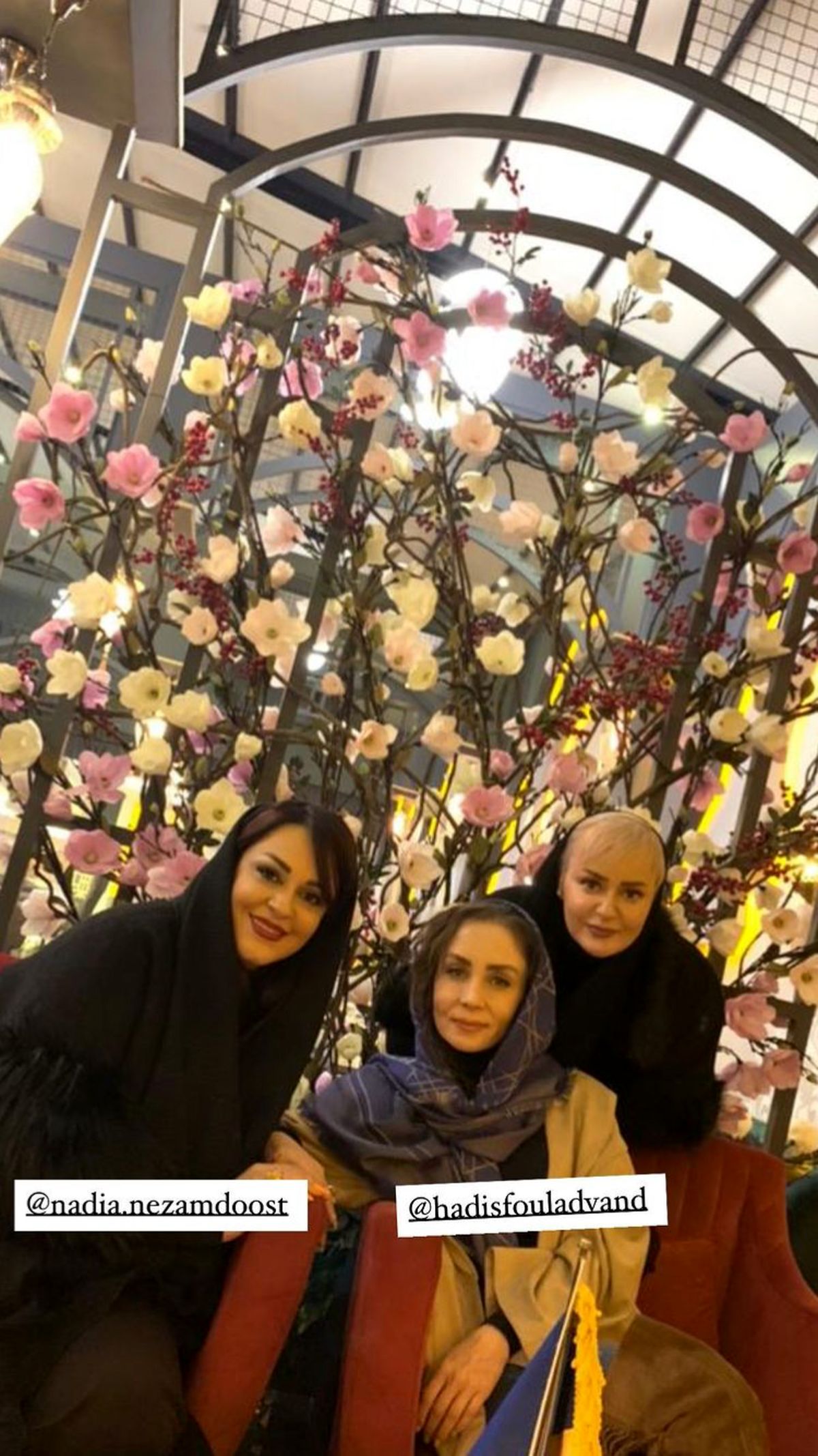 حدیث فولادوند ودوستانش + عکس