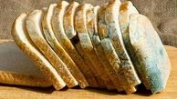 جلوگیری از کپک زدن نان با چند ترفند ساده ؛ طرز تهیه نان ساده در خانه