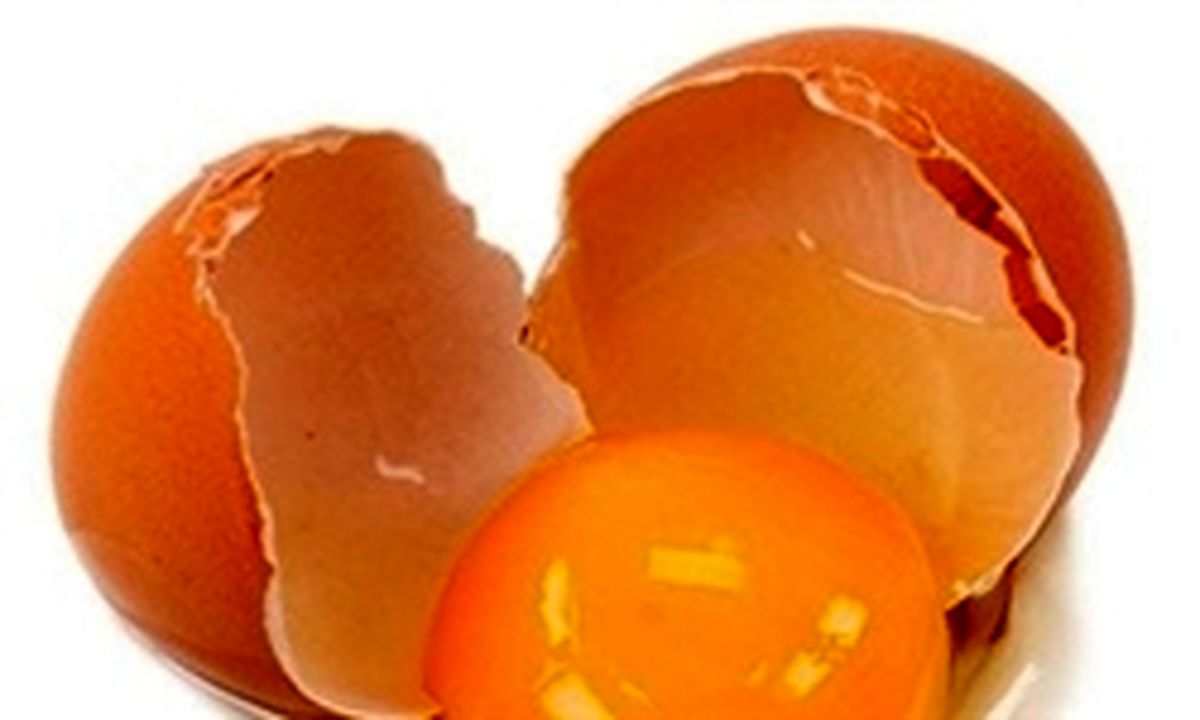 کاهش سکته مغزی با مصرف تخم مرغ