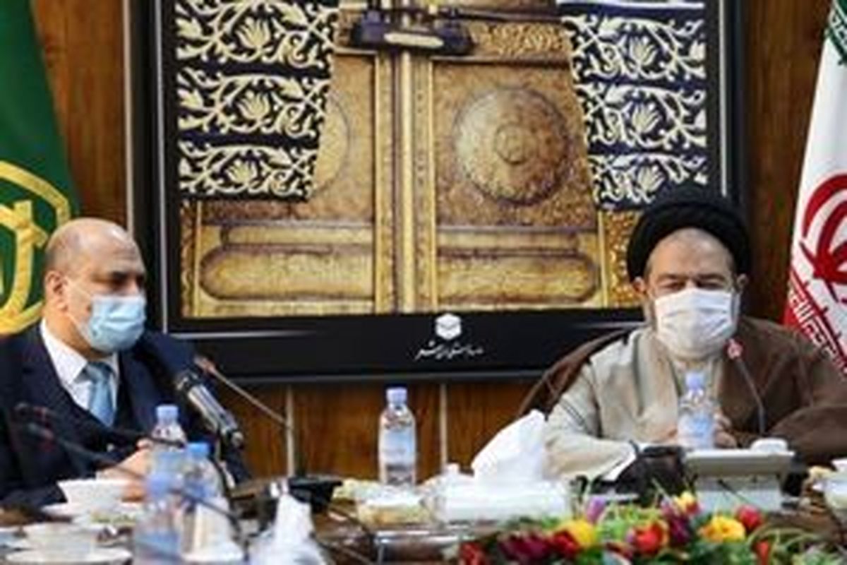 
استقبال عراق برای ازسرگیری سفر به عتبات
