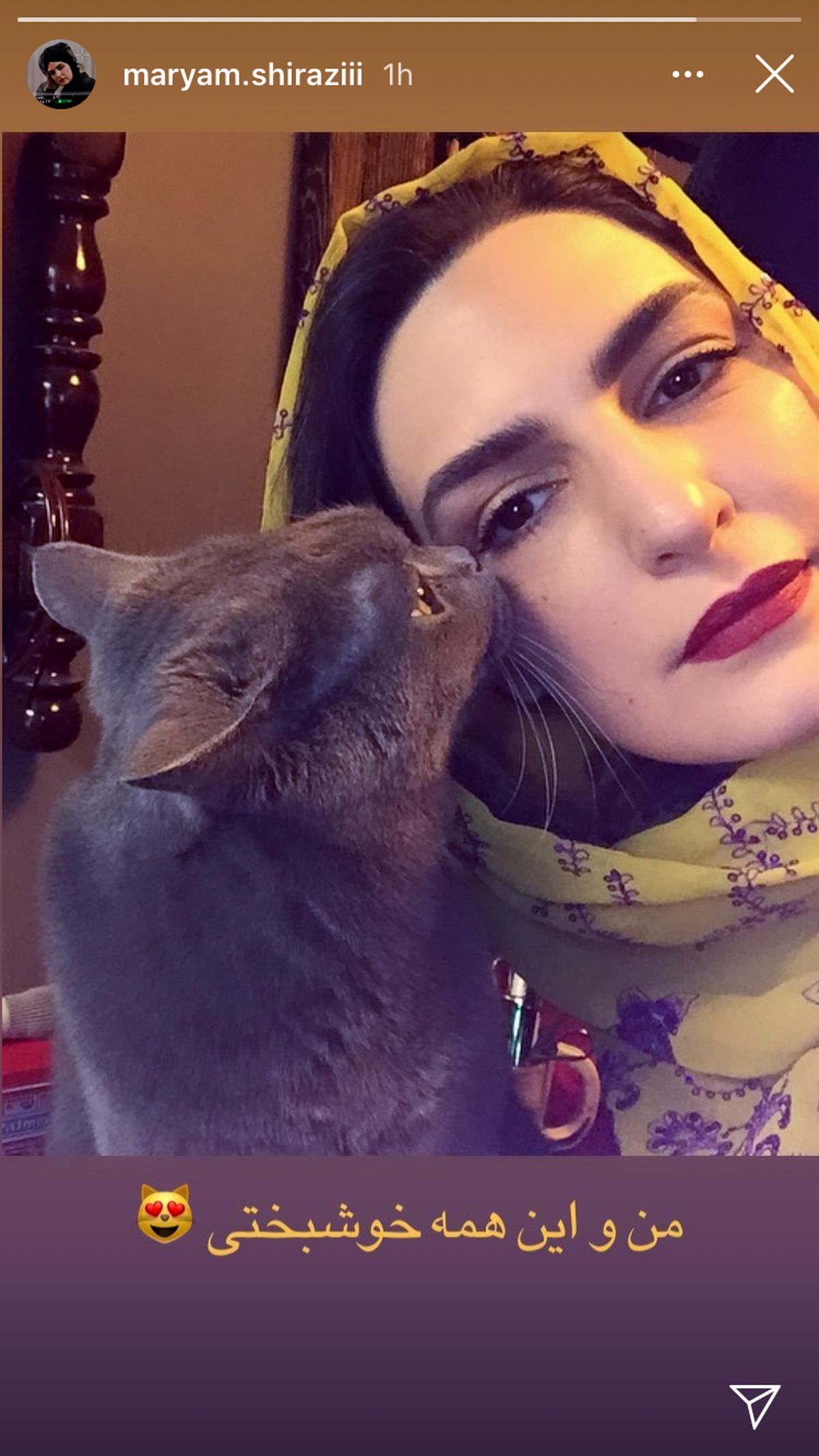 گربه سیاه خانم بازیگر + عکس