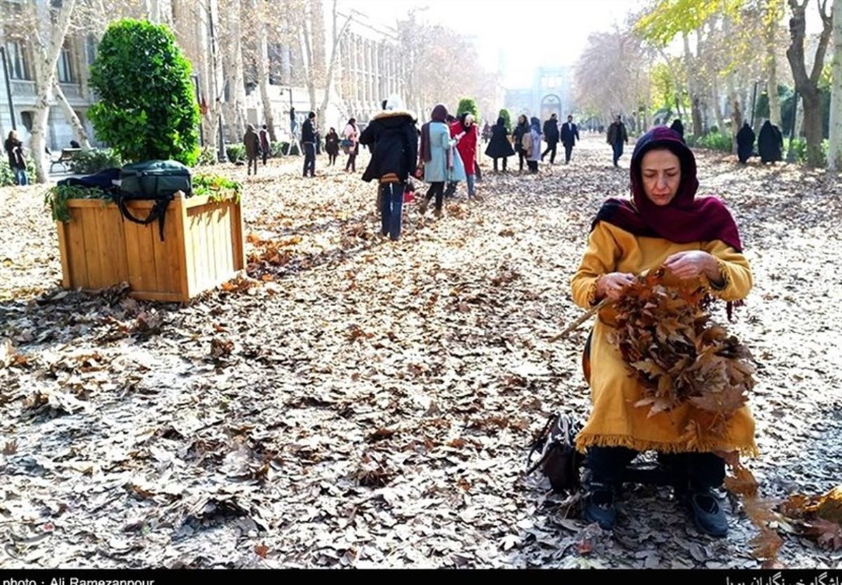 صحنه‌های جنگ مار و لک‌لک که دیگر تهرانی‌ها نمی‌بینند
