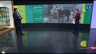 اعتراض بازیگر دلدادگان به شهرداری