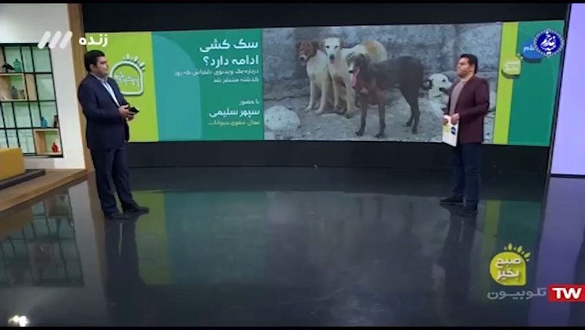 اعتراض بازیگر دلدادگان به شهرداری