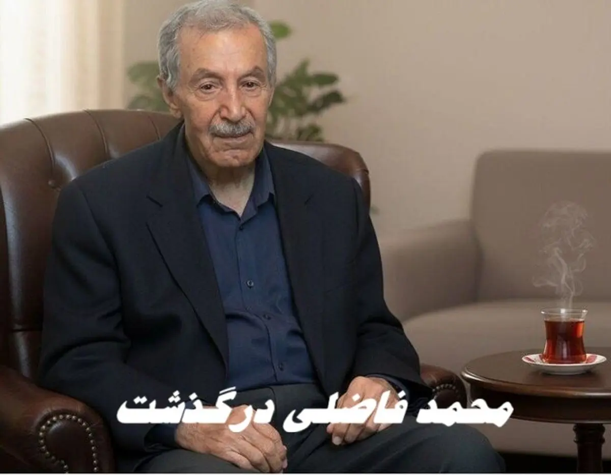 محمد فاضلی درگذشت + بیوگرافی 