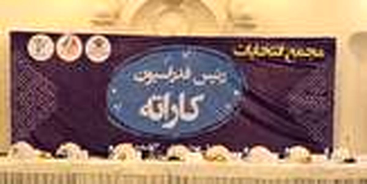 طباطبایی رئیس فدراسیون کاراته شد