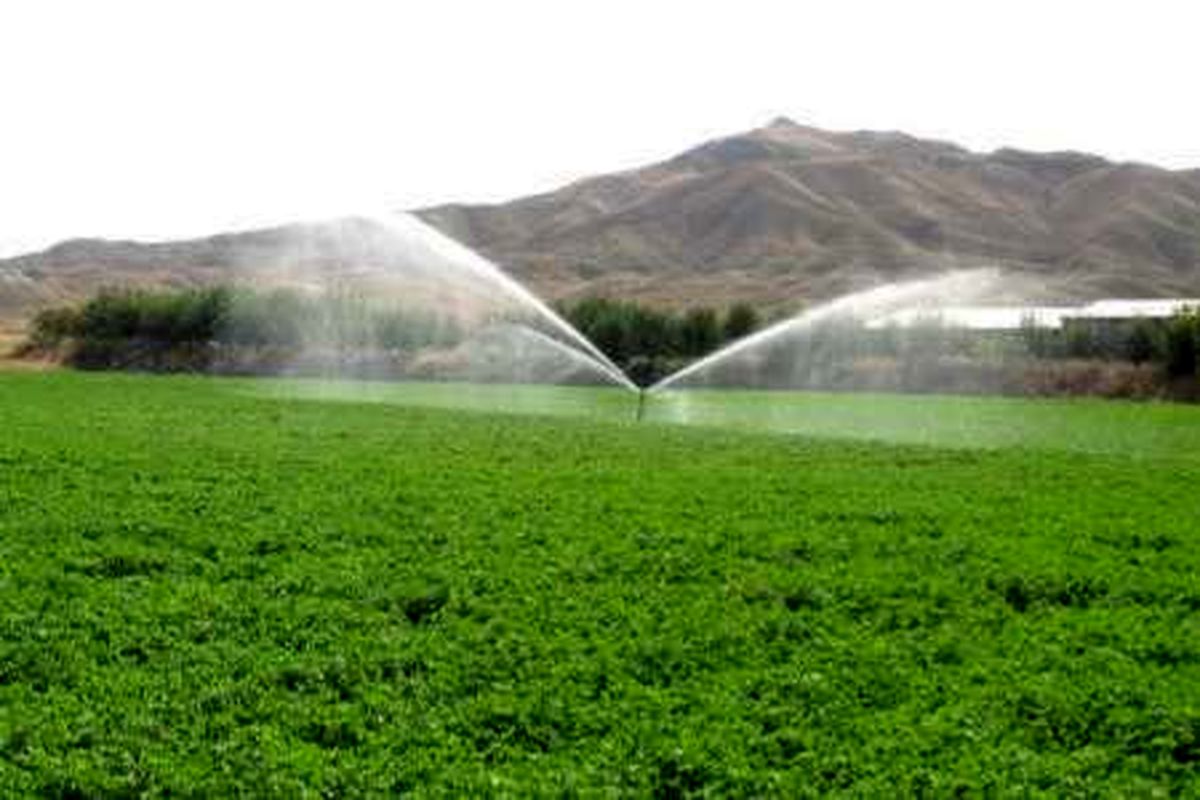 مجهز شدن 180 هزار هکتار زمین در کشور به سیستم آبیاری نوین 