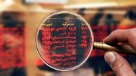 رشد ۵ هزار واحدی شاخص بورس در ۱۷ خرداد ماه
