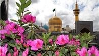حرم رضوی غرق در شور و نشاط است