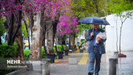 کاهش نسبی دما در شهرهای شمالی / بارش باران تا روز شنبه